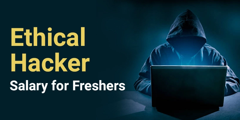 Ethical Hacker Salary for Freshers