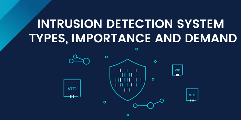 Intrusion Detection System - Types, Importance and Demand