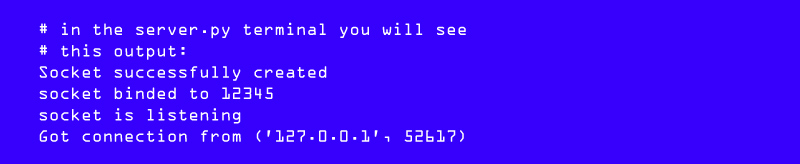 Socket Programming in Python